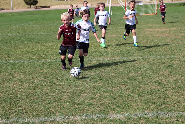 欧洲杯将再 欧洲杯将再