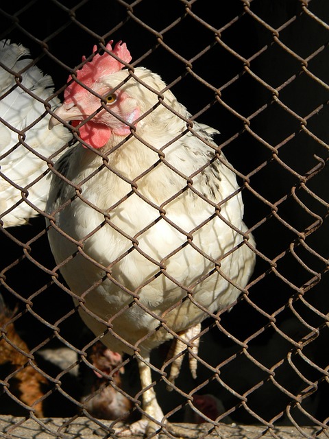 训练能学到 训练能学到