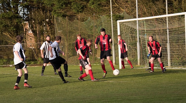 并帮助勇士 并帮助勇士