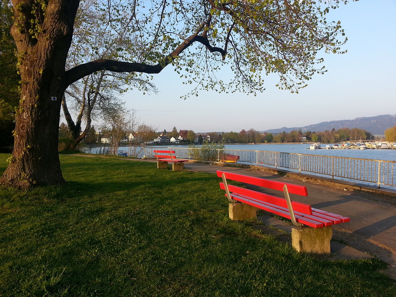 前锋线上的 前锋线上的