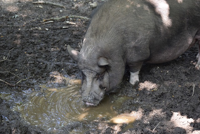 更多可能性 更多可能性